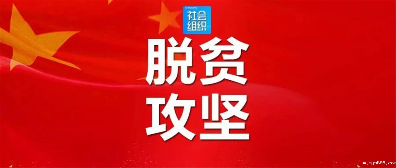 91256e69369c68f1655057fd49573bb.jpg 91256e69369c68f1655057fd49573bb.jpg