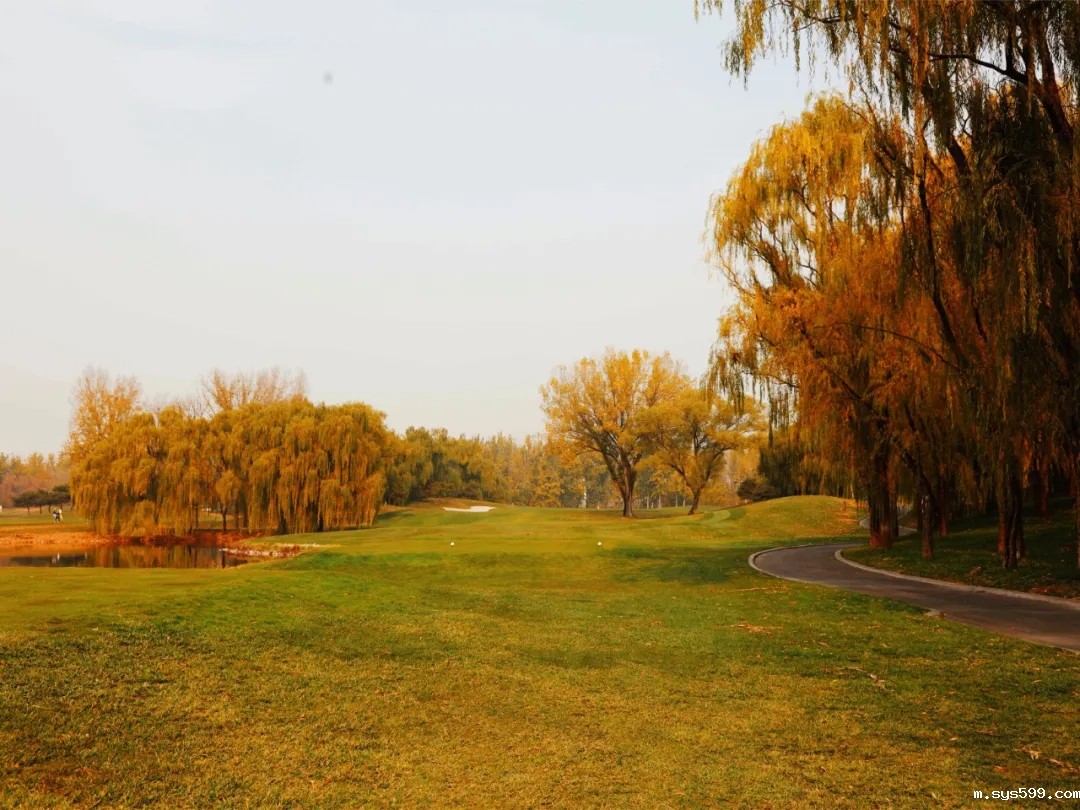 11.webp.jpg 11.webp.jpg