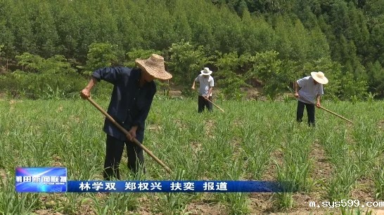 1.webp.jpg 1.webp.jpg