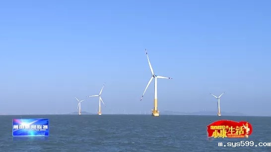 13.webp.jpg 13.webp.jpg