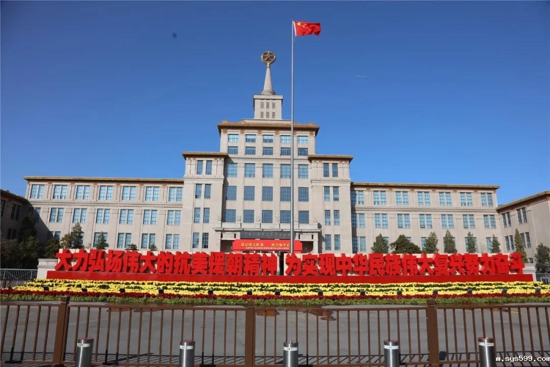 11.webp.jpg 11.webp.jpg