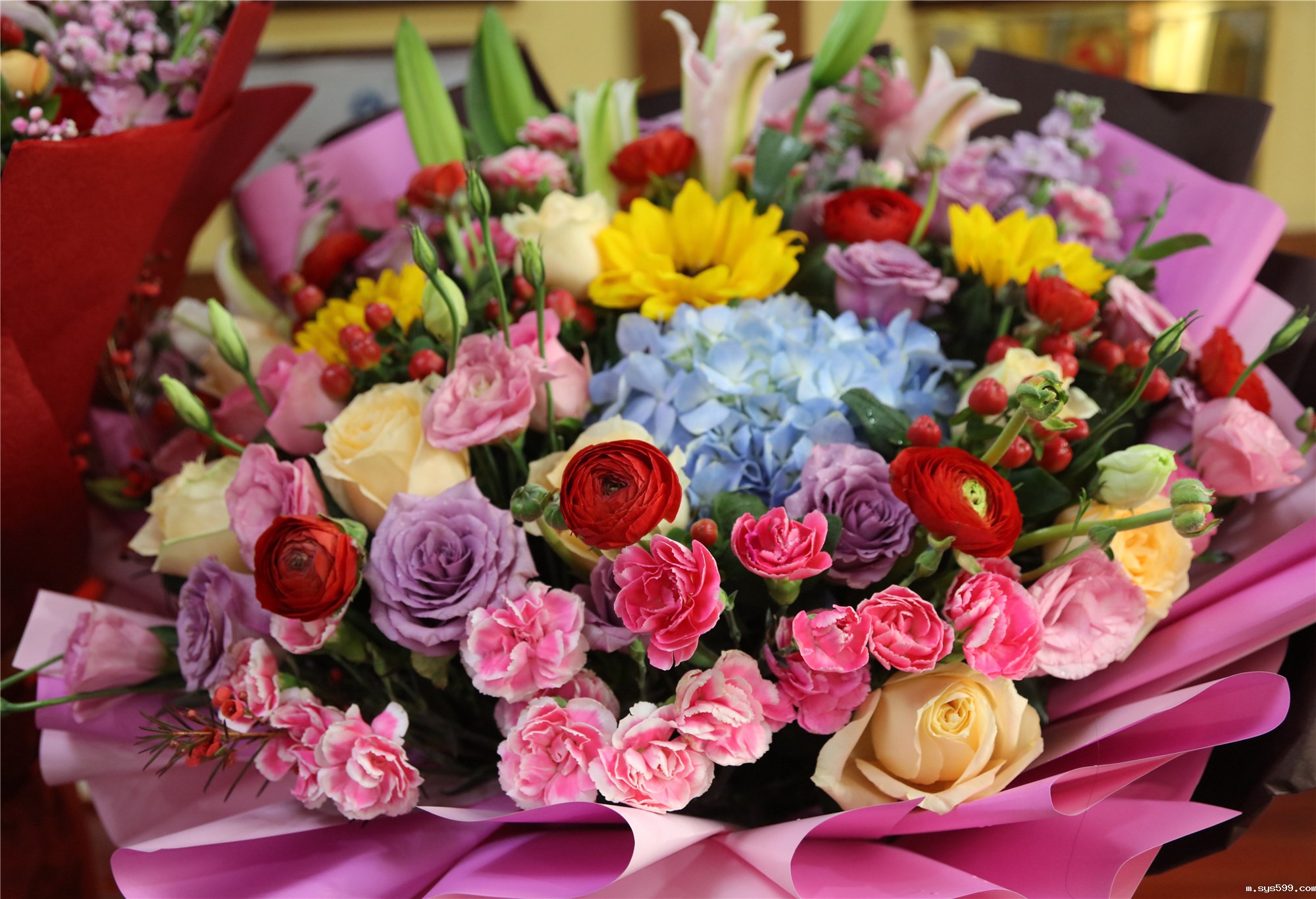 2L8A5723_副本.jpg 2L8A5723_副本.jpg