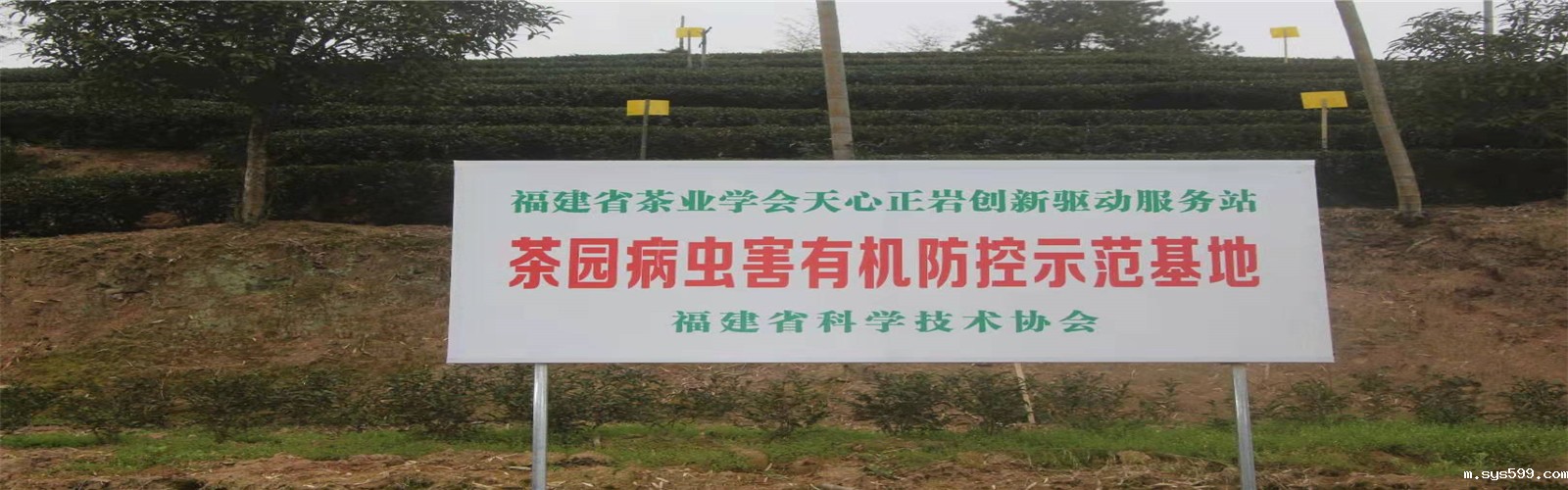 微信图片_20190829155336.jpg 微信图片_20190829155336.jpg