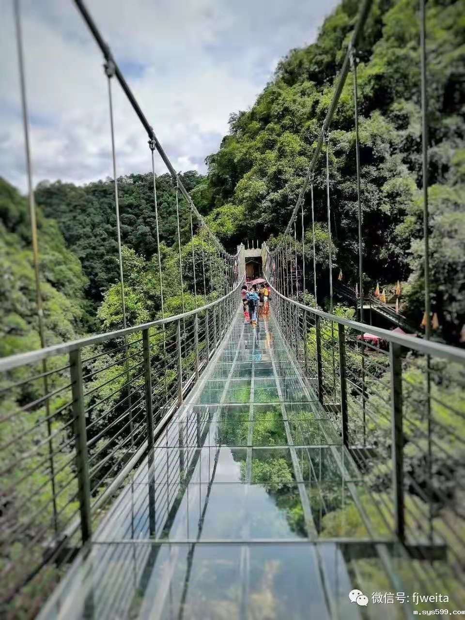 微信图片_20200118120631.jpg 微信图片_20200118120631.jpg