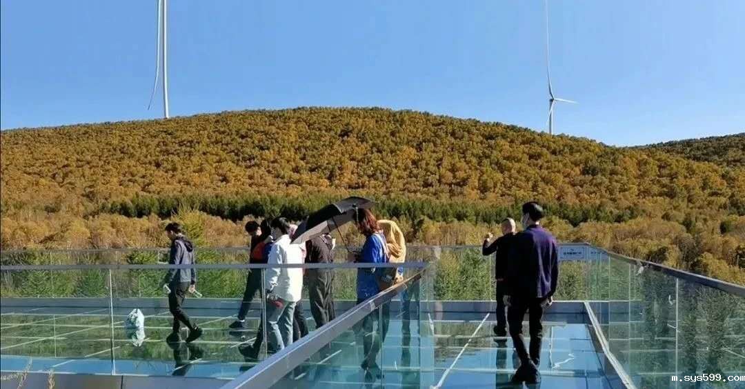 微信图片_20201017153913.jpg 微信图片_20201017153913.jpg