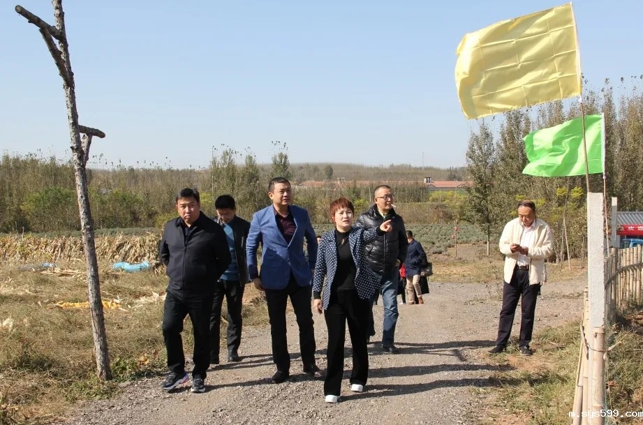 6.webp.jpg 6.webp.jpg