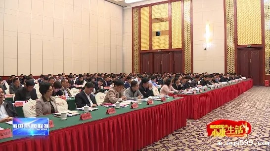 23.webp.jpg 23.webp.jpg