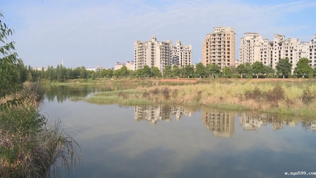 9.webp.jpg 9.webp.jpg