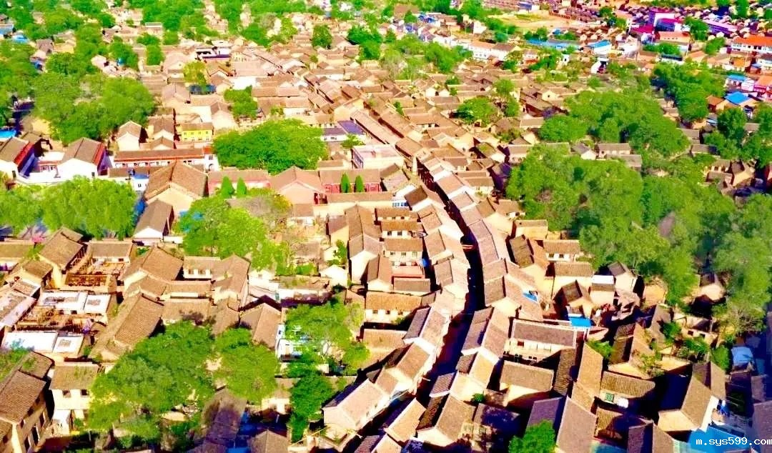 5.webp.jpg 5.webp.jpg