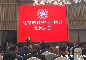 北京市鞋革行业协会会员大会暨鑫海集团成立十五周年庆典在石狮市隆重举行