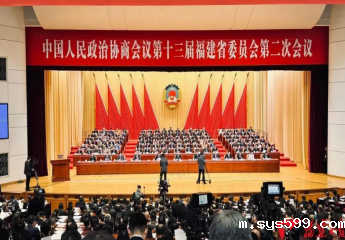 总商会副会长肖文华：以茶为桥促进两岸共融