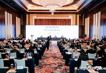 总商会施锦珊执行会长连任中国外商投资企业协会副会长