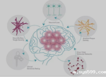 多重治疗手段探索AD治疗新路径