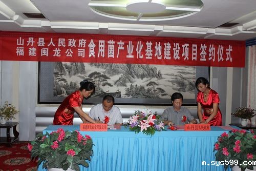 副会长黄加发投资甘肃张掖10亿元建设中国西部食用菌产业化基地