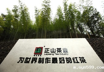 福建正山堂茶业有限责任公司