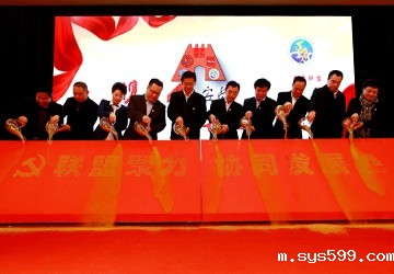 bv伟德中文网党委书记、会长陈春玖参加安贞街道2017年度党建协调会联席会