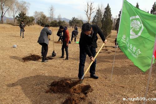 义务植树播新绿 木业商会献爱光彩林