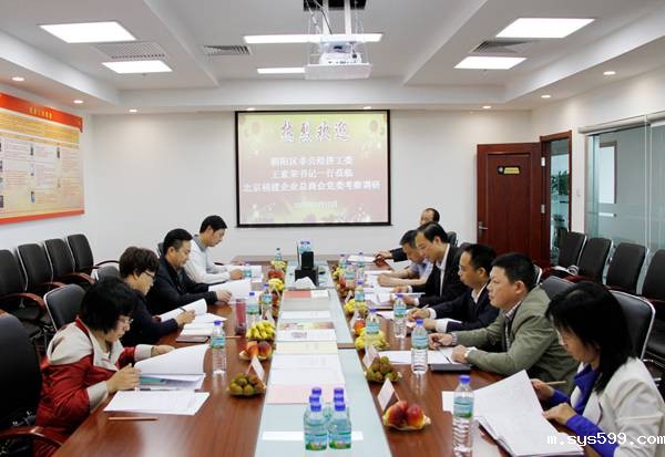 树立党建品牌   发挥榜样力量 ——朝阳区非公经济工委王素荣书记一行莅临总商会党委调研座谈